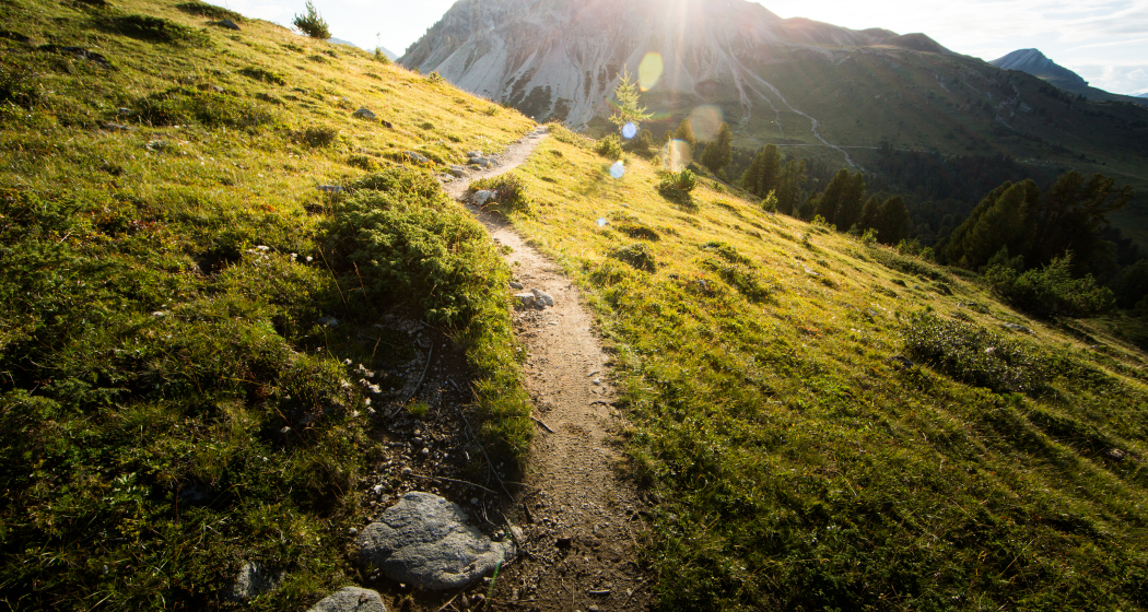 Nationalparkregion – E-Mountainbike-Tour Etappe 4: Zuoz – Scuol (oua_25280031_image) Nationalparkregion – E-Mountainbike-Tour Etappe 4: Zuoz – Scuol (oua_25280031_image)