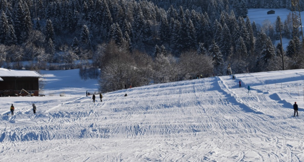 Skilift Pieinas, Castrisch (oua_25283531_image)