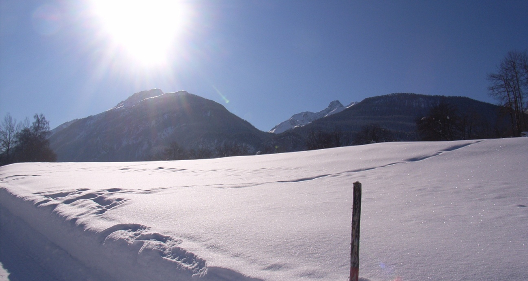 216 Schönboden-Weg (oua_25300990_image)