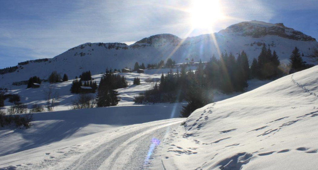 Panoramatour Kartitscha - Cuolm Sura - Bündner Rigi - Morissen/Vella (oua_25355705_image) Panoramatour Kartitscha - Cuolm Sura - Bündner Rigi - Morissen/Vella (oua_25355705_image)