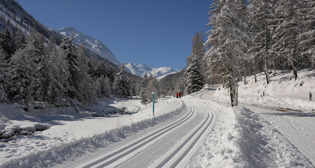 Rosegtal-Loipe Pontresina Rosegtal-Loipe Pontresina