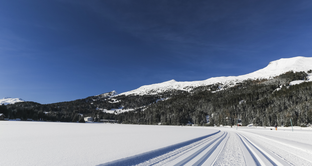 Langlauf Lenzerheide Langlauf Lenzerheide