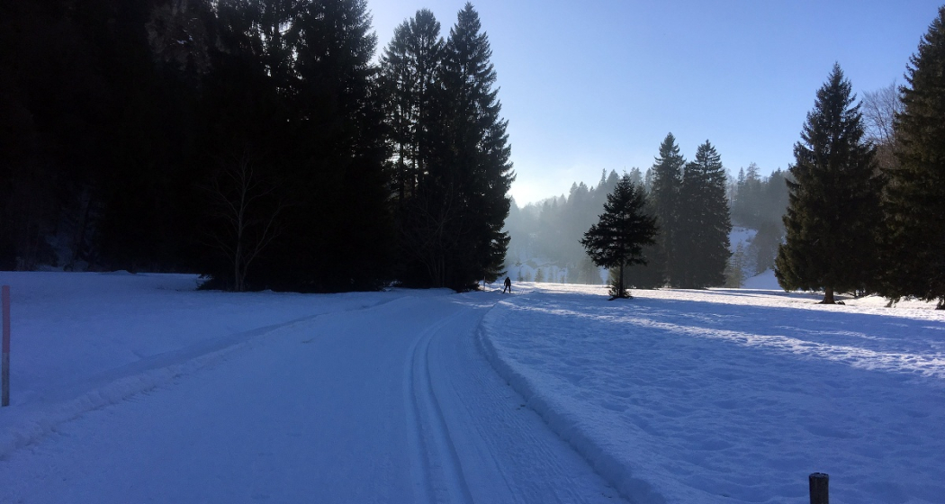 Langlaufloipe Seewis Langlaufloipe Seewis
