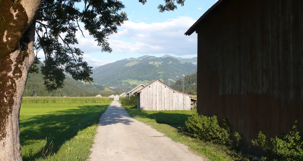 Fluss-Spaziergang entlang der rauschenden Landquart (oua_26086493_image)