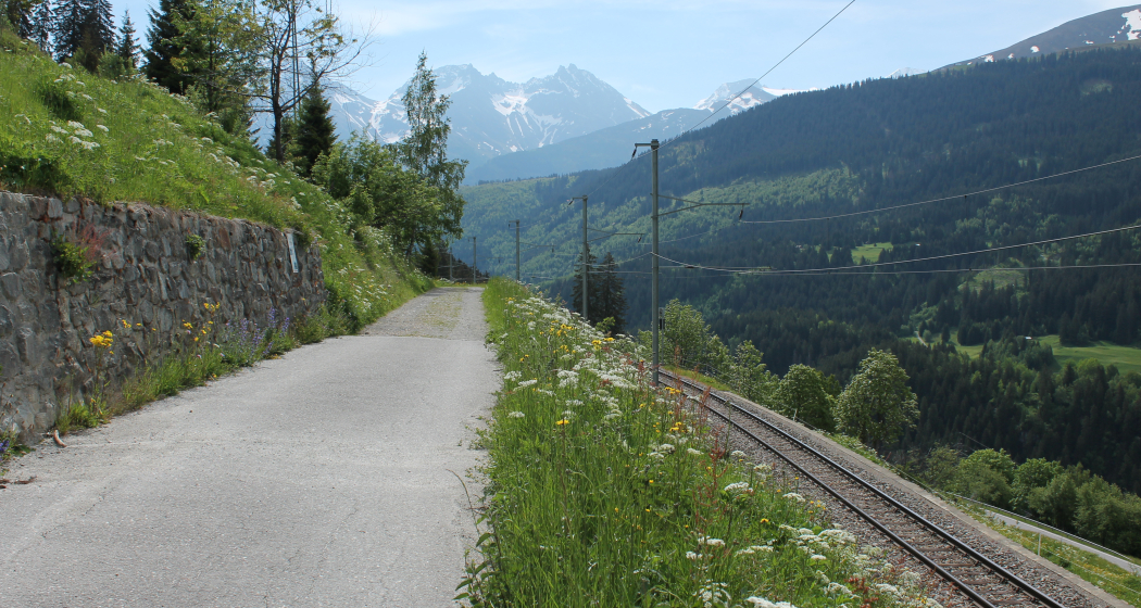 Weg von Bugnei nach Mompé Tujetsch Weg von Bugnei nach Mompé Tujetsch