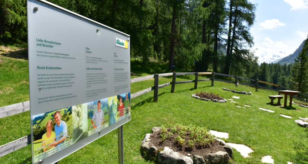 Ricola Kräutergarten in Pontresina Ricola Kräutergarten in Pontresina