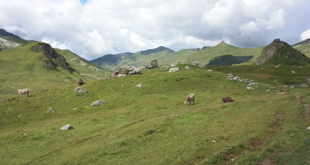 Etappe 19: Casannapass Etappe 19: Casannapass