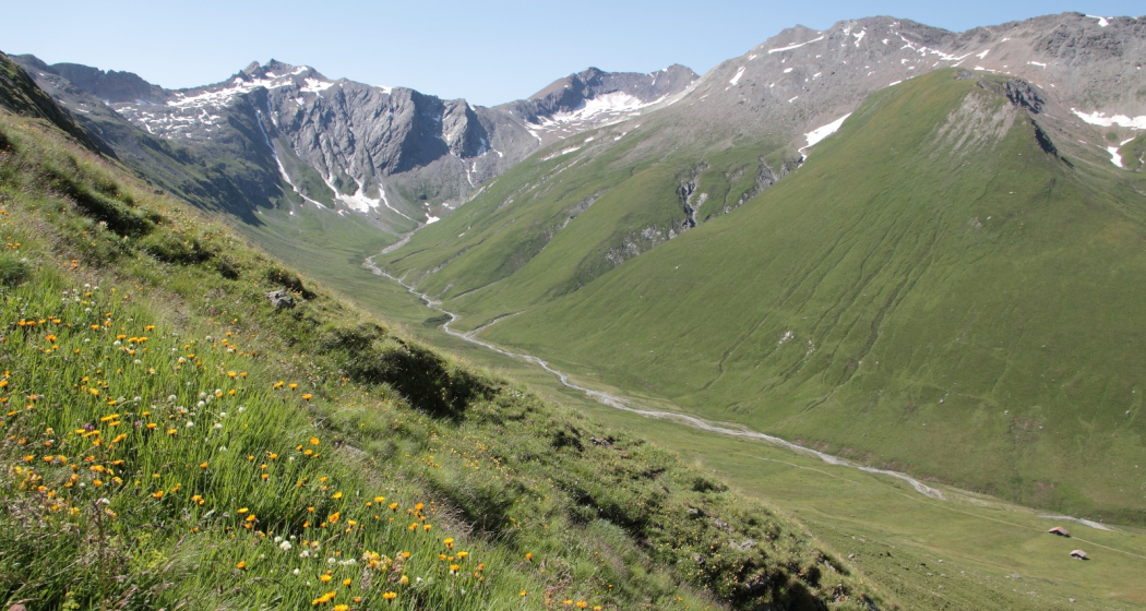 Wanderweg Wanderweg