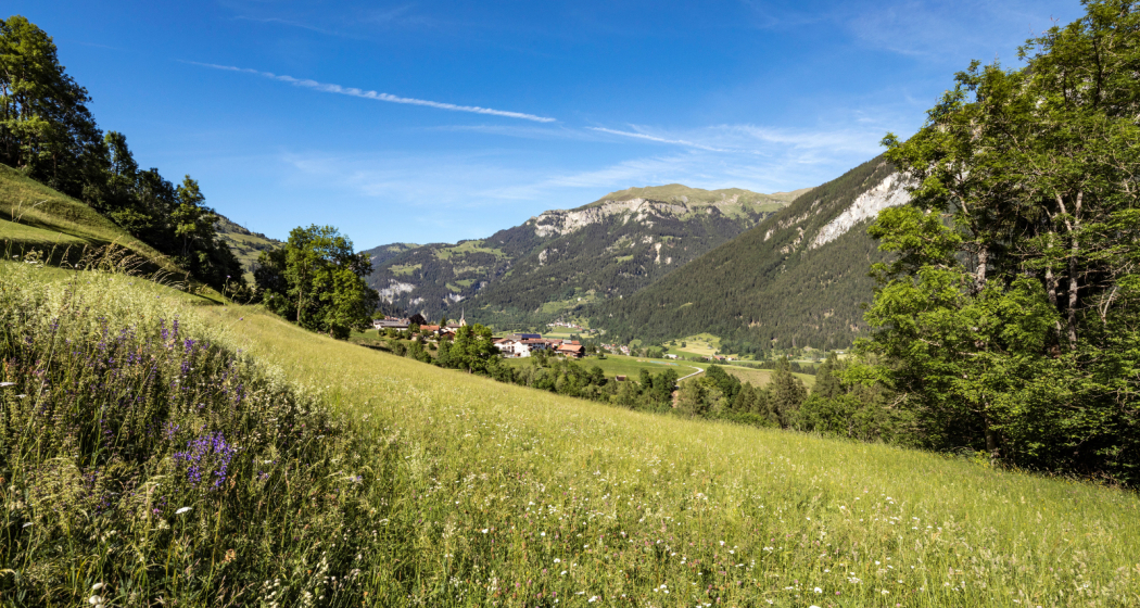 Schamsertal Schamsertal