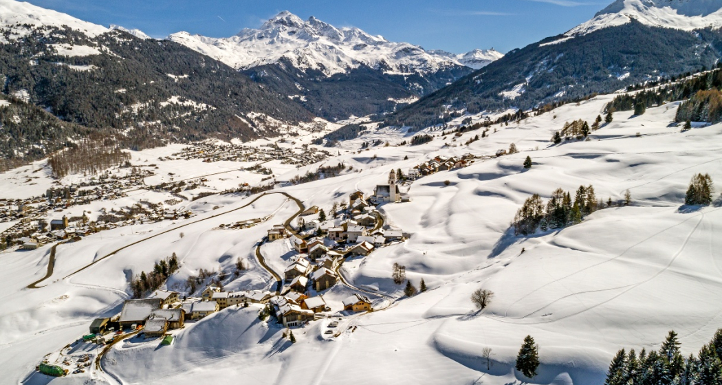 Parsonz (oua_27378592_image) Parsonz (oua_27378592_image)