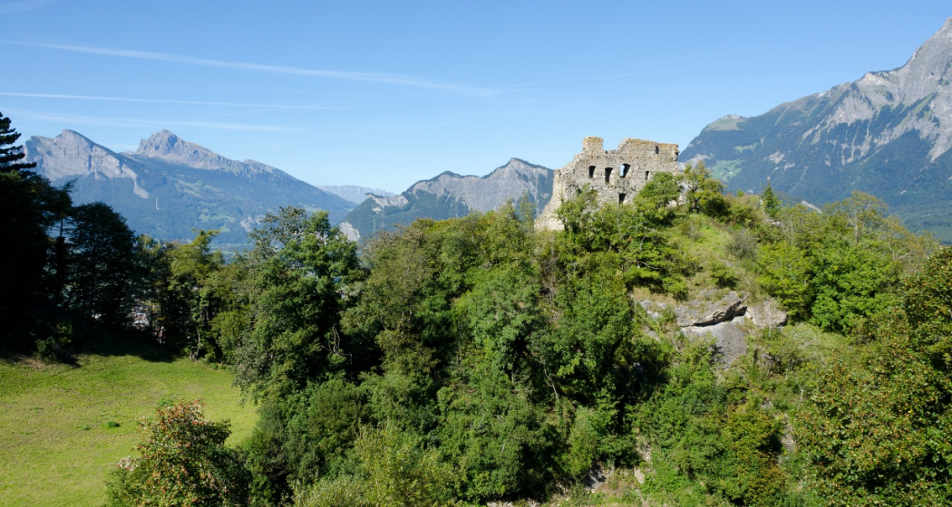 Burgruine Wartenstein Burgruine Wartenstein