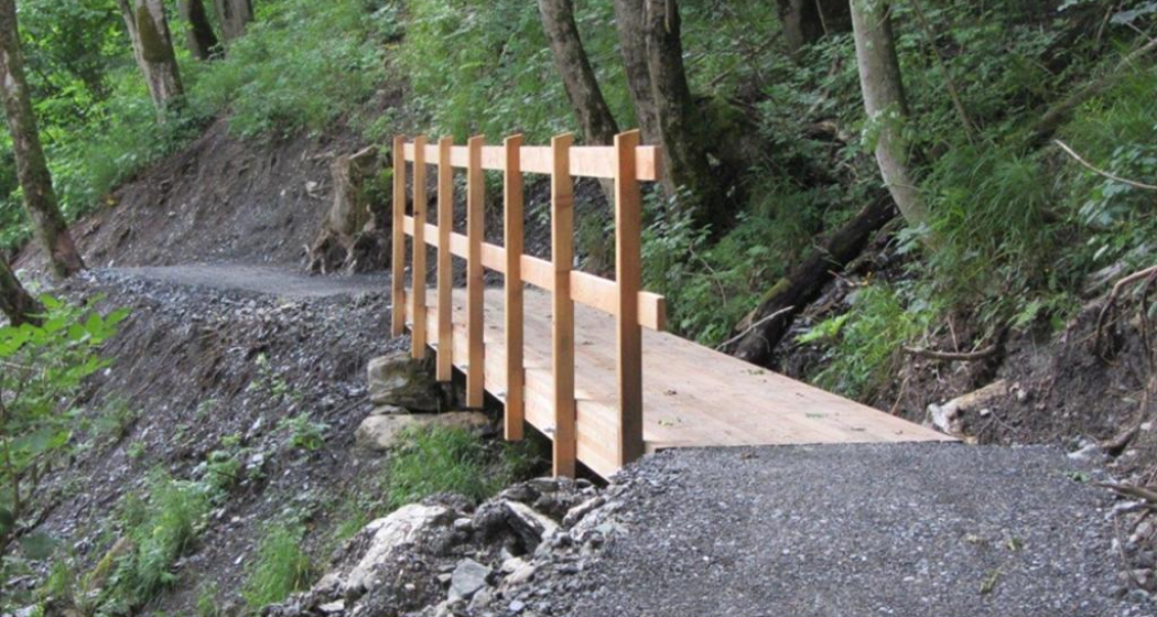 Holzbrücke auf dem Steinbock Lehrpfad Holzbrücke auf dem Steinbock Lehrpfad