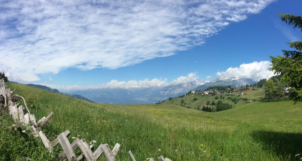 Blick auf Feldis Blick auf Feldis