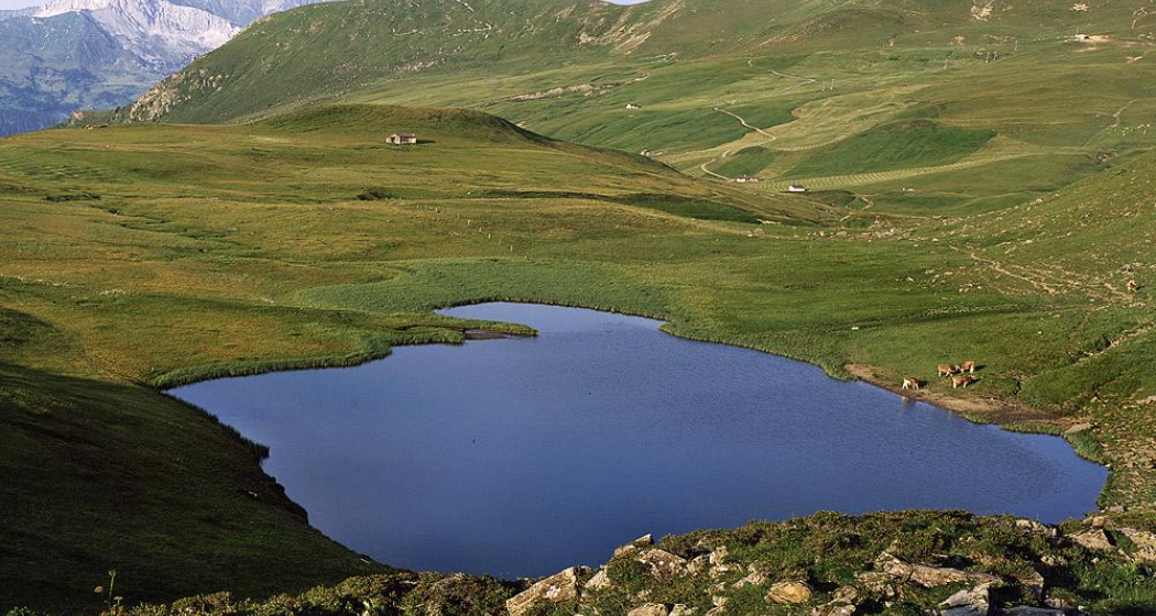 Heubergsee Heubergsee