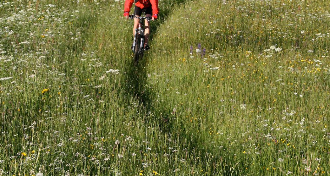 Bike-Tour Malfeis Bike-Tour Malfeis