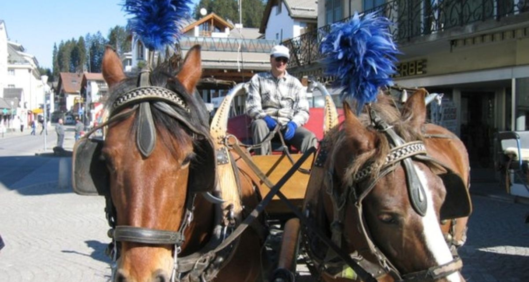 Pferdekutschen Fam. Margreth (oua_29698524_image)