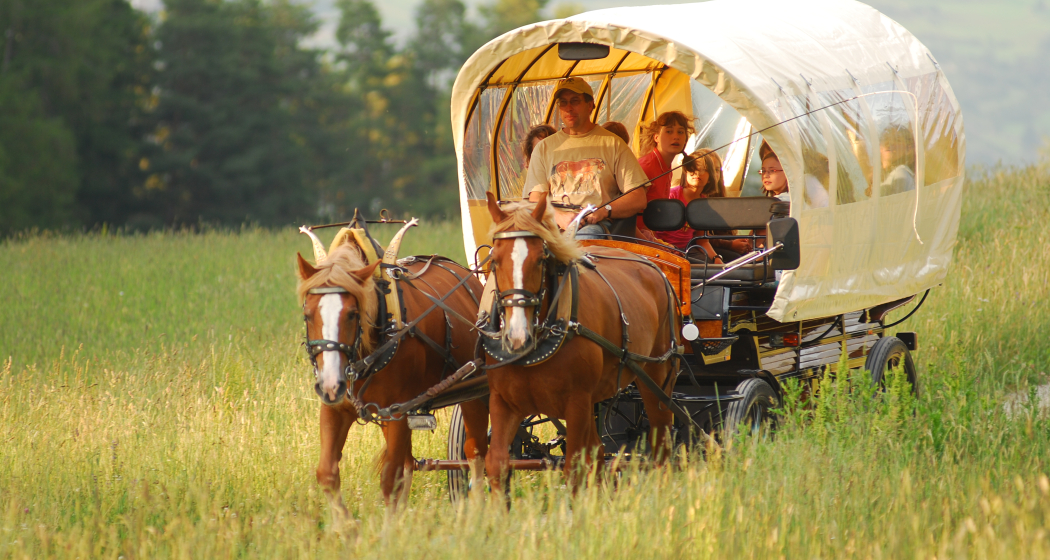 San Jon Kutschen- und Schlittenfahrten (oua_30177741_image) San Jon Kutschen- und Schlittenfahrten (oua_30177741_image)