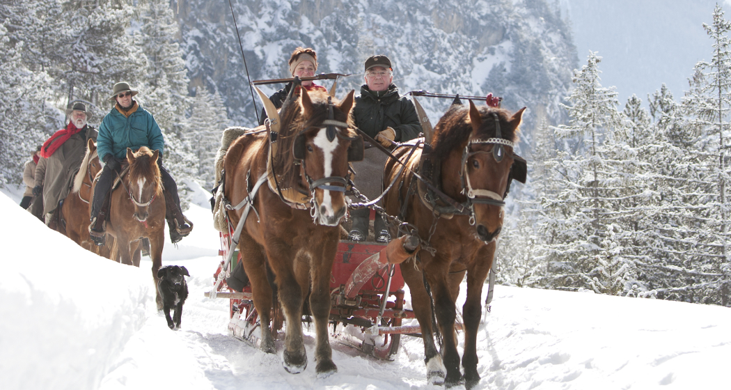 San Jon Kutschen- und Schlittenfahrten (oua_30177798_image) San Jon Kutschen- und Schlittenfahrten (oua_30177798_image)