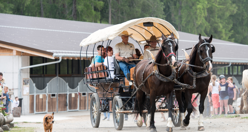San Jon Kutschen- und Schlittenfahrten (oua_30177800_image) San Jon Kutschen- und Schlittenfahrten (oua_30177800_image)