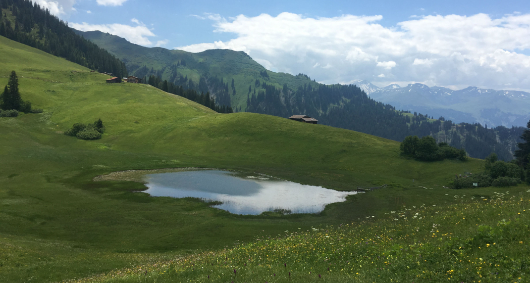 Stelsersee Stelsersee