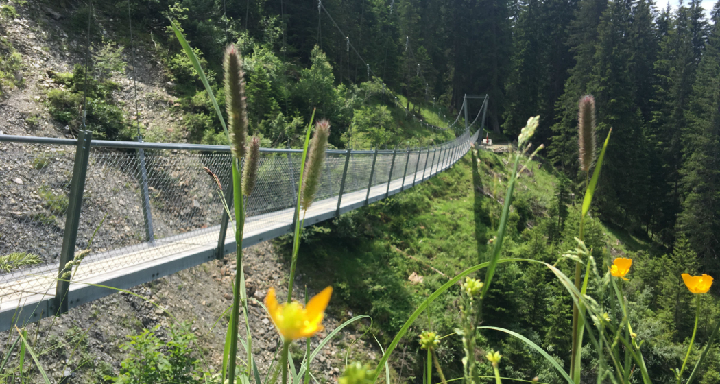Hängebrücke Buchnertobel Hängebrücke Buchnertobel