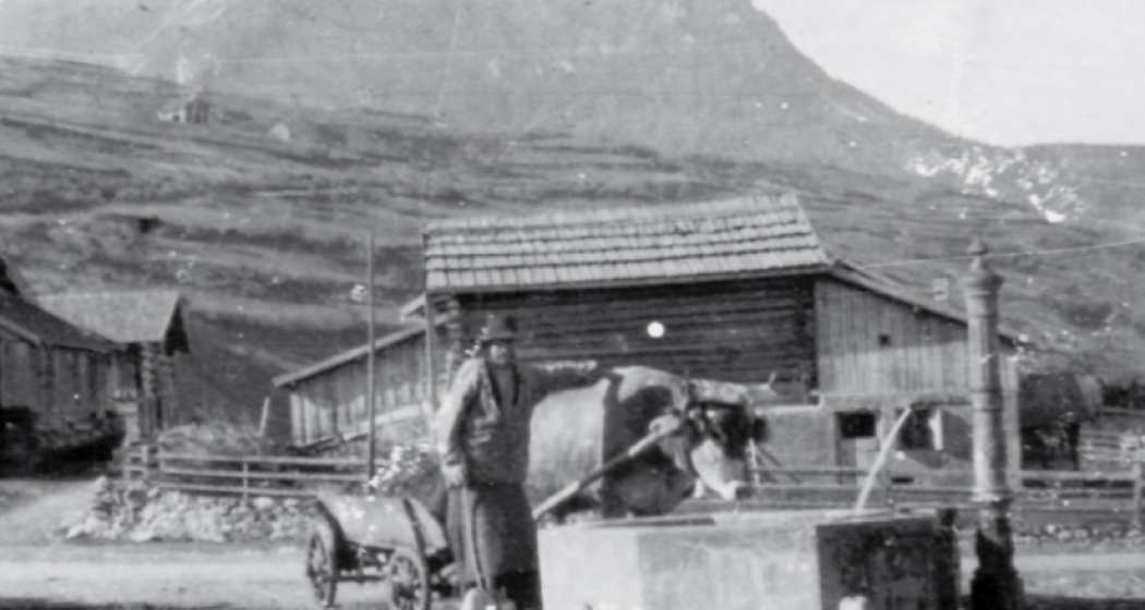 Die Tiere wurden mindestens morgens und abends an den Brunnen getränkt.