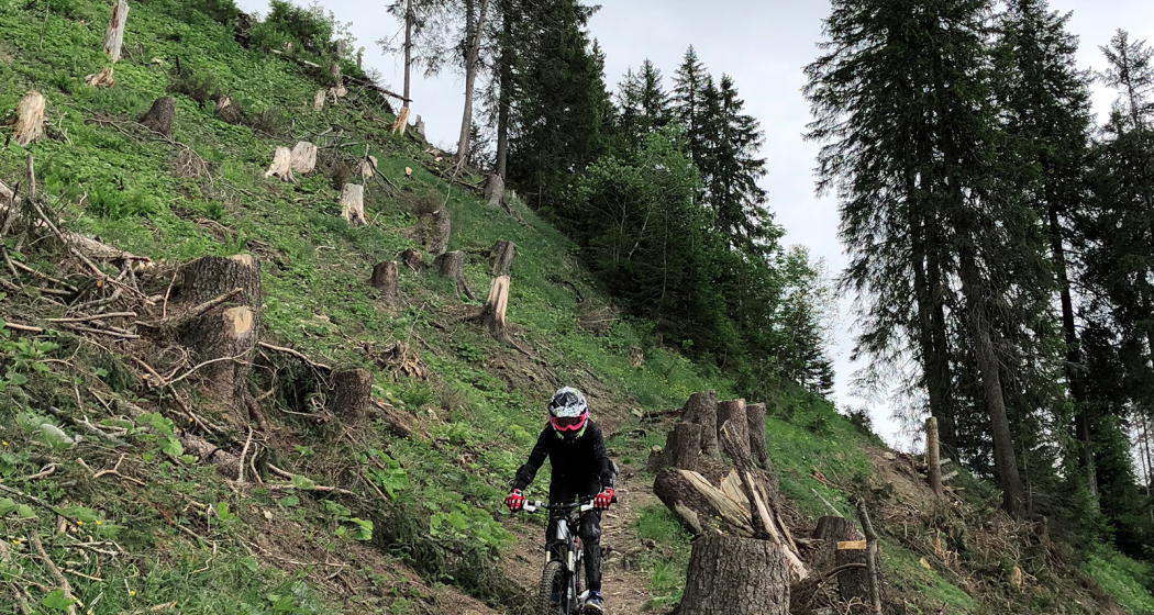 279 Pendlatrail (oua_30306638_image)