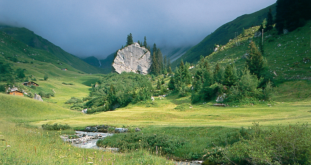 Schlangenstein in Gafia. Schlangenstein in Gafia.
