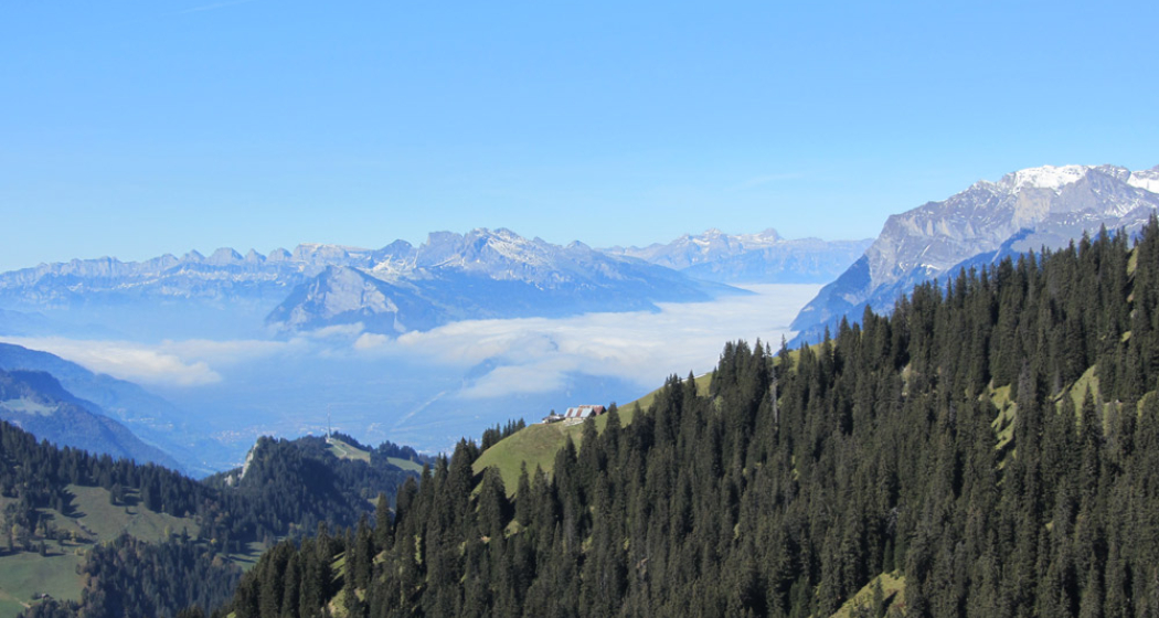 Furner Rundtour Blick ins Bündner Rheintal Furner Rundtour Blick ins Bündner Rheintal
