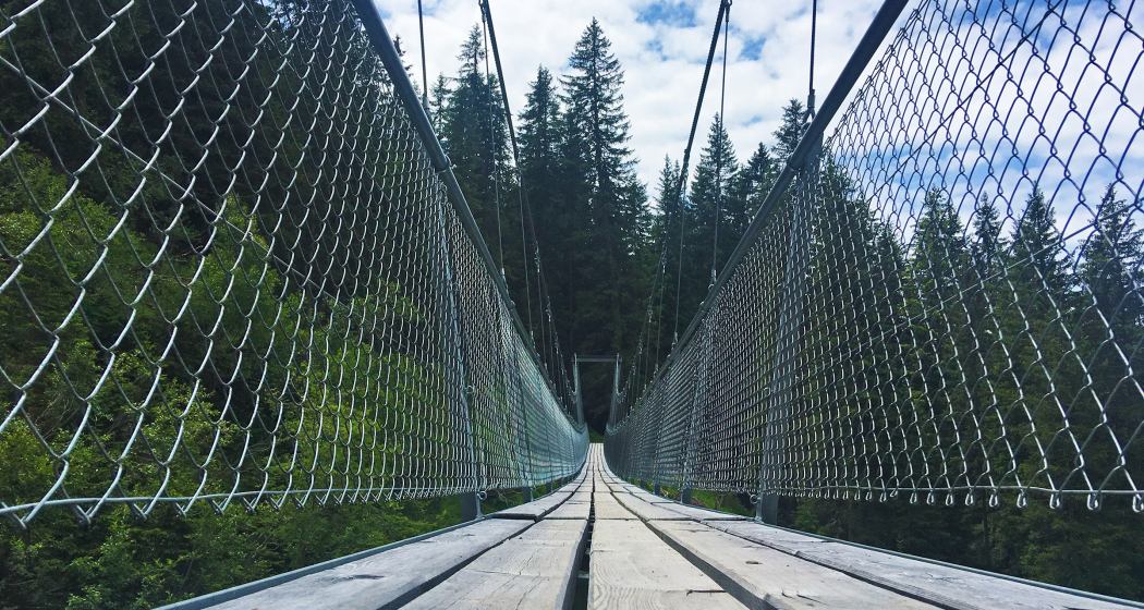 Ganz schön lang: die Gerüsttobelbrücke verbindet Pany mit dem Stelserberg Ganz schön lang: die Gerüsttobelbrücke verbindet Pany mit dem Stelserberg