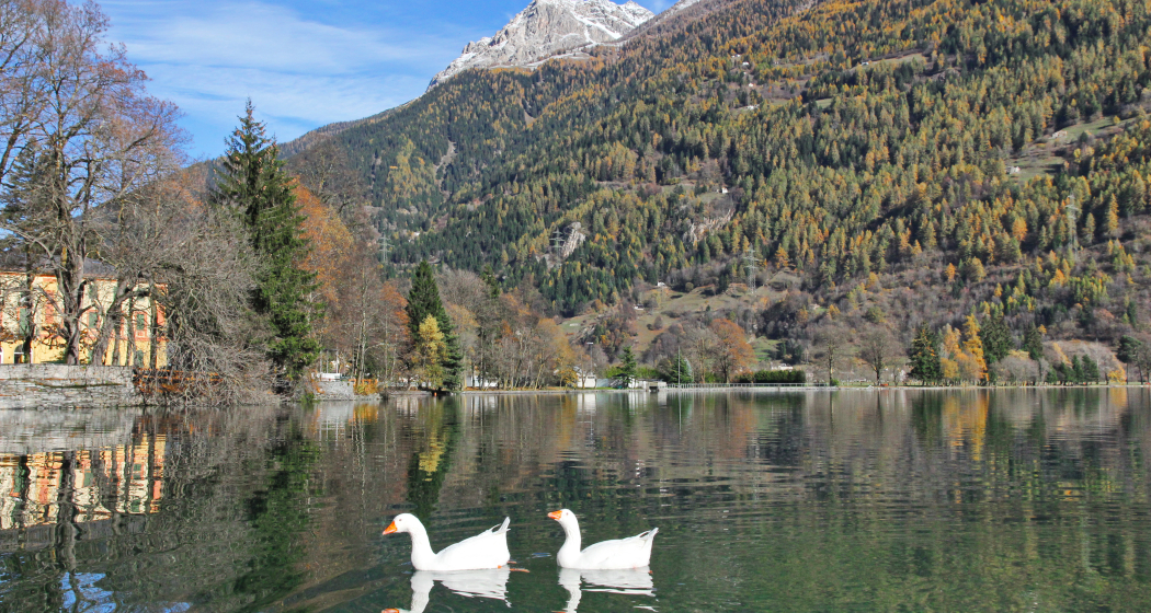 Lago di Poschiavo Lago di Poschiavo