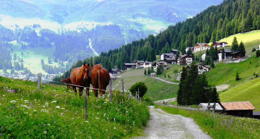 «In den Büelen» - Eingang zu Davos «In den Büelen» - Eingang zu Davos