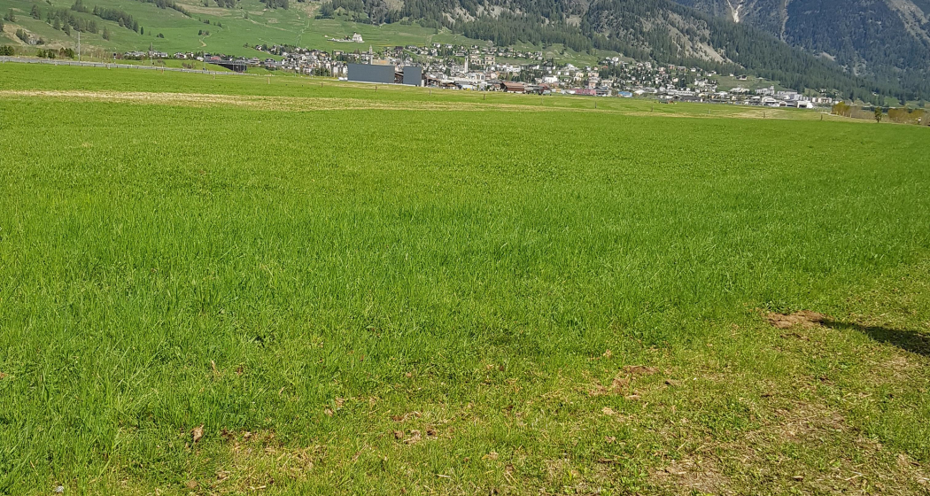 Ausblick über die Talsohle nach Samaden Ausblick über die Talsohle nach Samaden