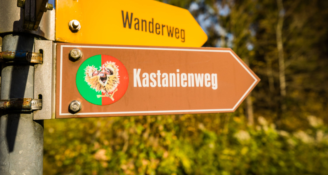 Der Kastanienweg ist gut beschildert Der Kastanienweg ist gut beschildert