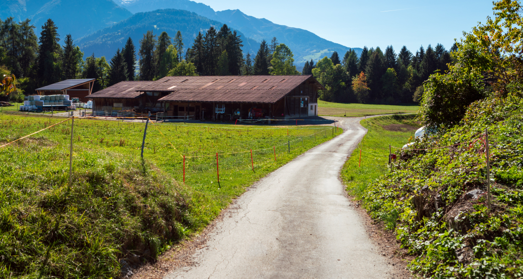 Rundwanderung: Trin Porclis (oua_33412930_image) Rundwanderung: Trin Porclis (oua_33412930_image)