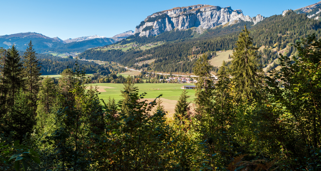 Rundwanderung: Trin Porclis (oua_33412942_image) Rundwanderung: Trin Porclis (oua_33412942_image)