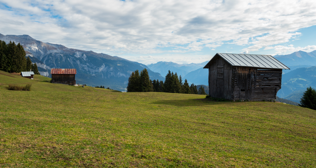 Rundwanderung: Falera-Curnius-Alp Dadens-Falera (oua_33412979_image) Rundwanderung: Falera-Curnius-Alp Dadens-Falera (oua_33412979_image)