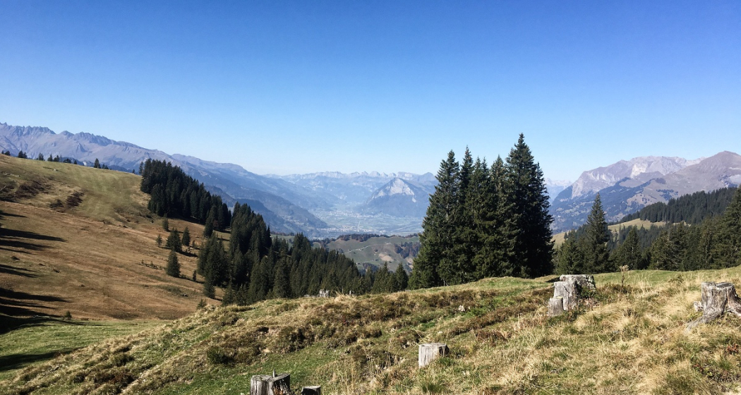 Blick ins Sarganserland bis zu den Churfirsten Blick ins Sarganserland bis zu den Churfirsten