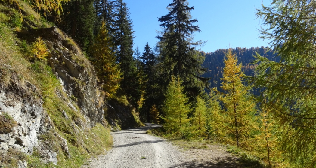 Kulturweg (oua_33565236_image) Kulturweg (oua_33565236_image)