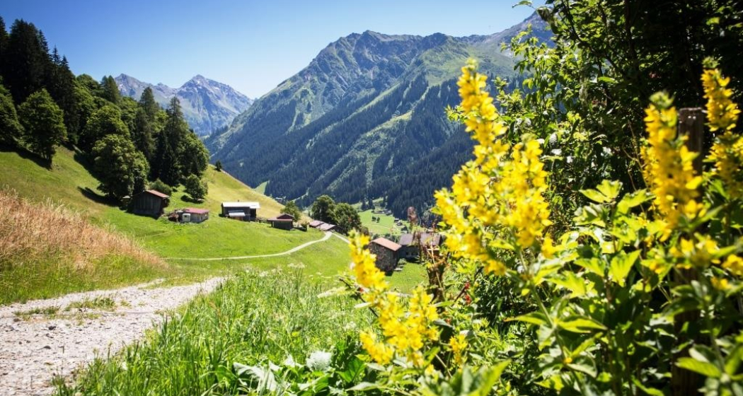 Rundwanderweg Klosters Etappe 5 - Gadäwäg (oua_34053514_image) Rundwanderweg Klosters Etappe 5 - Gadäwäg (oua_34053514_image)