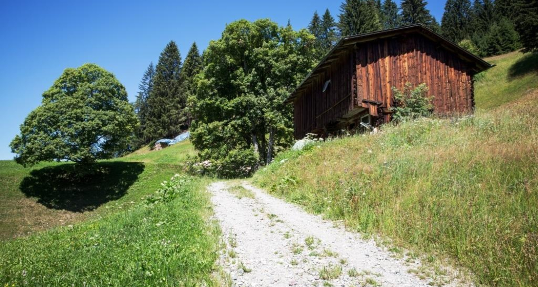 Rundwanderweg Klosters Etappe 5 - Gadäwäg (oua_34053515_image) Rundwanderweg Klosters Etappe 5 - Gadäwäg (oua_34053515_image)