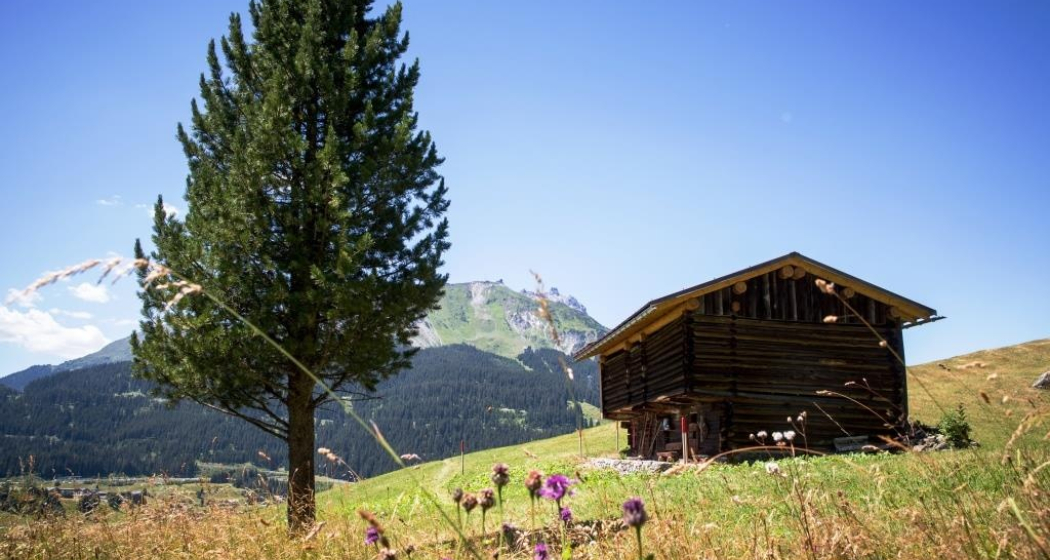 Rundwanderweg Klosters Etappe 5 - Gadäwäg (oua_34053517_image) Rundwanderweg Klosters Etappe 5 - Gadäwäg (oua_34053517_image)
