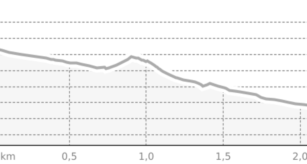Schneeschuhtrail Samnaun-Plan (ST2) (oua_34079005_12be081_profile)