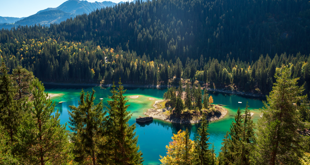 Genusswanderung: Kulinariktrail Wald & Wasser (oua_34486130_image) Genusswanderung: Kulinariktrail Wald & Wasser (oua_34486130_image)