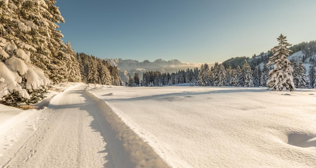 Winterwandern Flumserberg Winterwandern Flumserberg