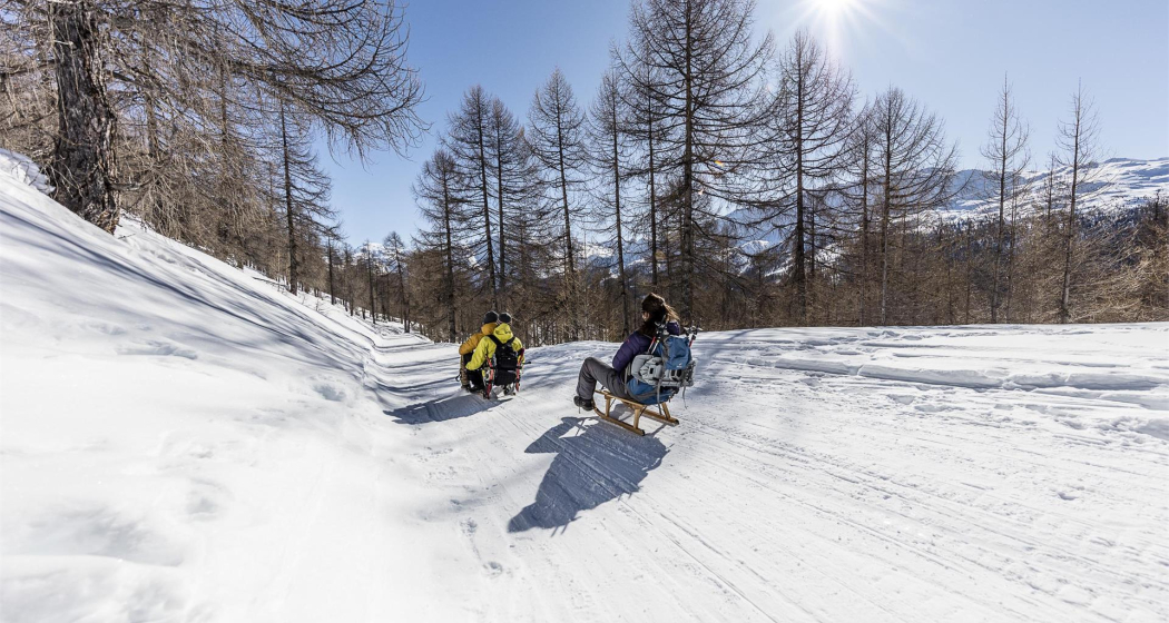 Schlittelweg nach Tschierv Schlittelweg nach Tschierv