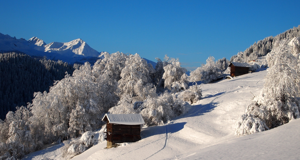 Schneeschuhwanderung Ladinas ab Andiast (oua_35504321_image) Schneeschuhwanderung Ladinas ab Andiast (oua_35504321_image)