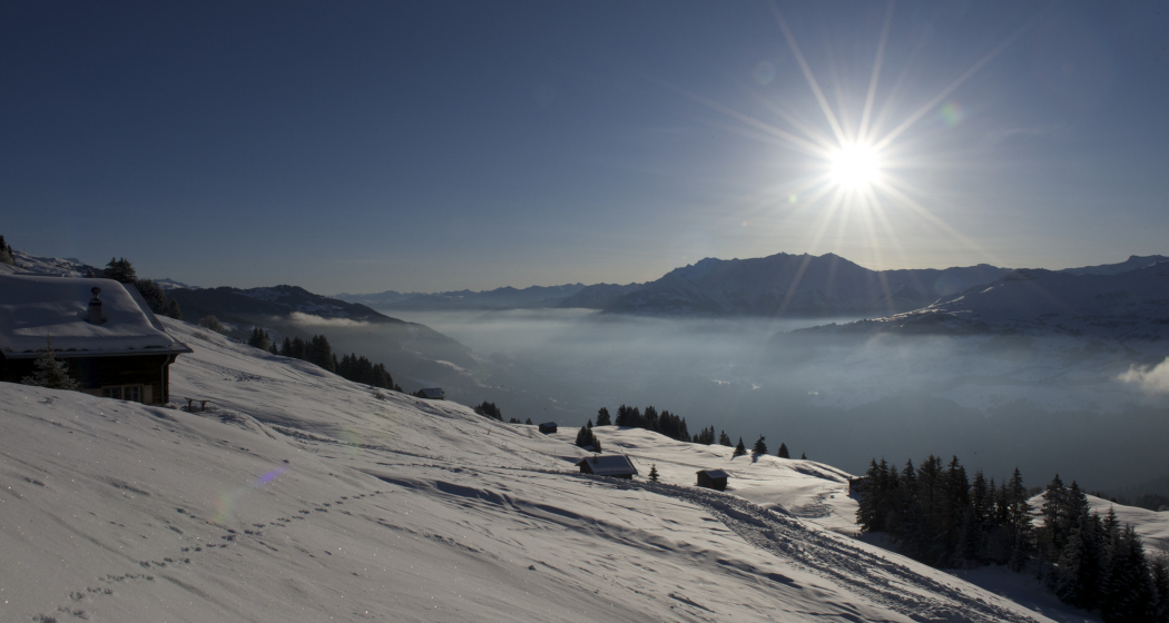 Schlitteln Alp Dado - Waltensburg (oua_35504369_image) Schlitteln Alp Dado - Waltensburg (oua_35504369_image)