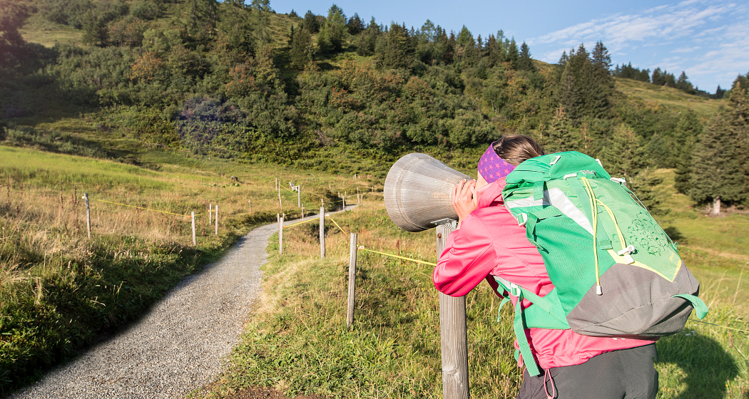 Alpruf auf dem Heidipfad Alpruf auf dem Heidipfad