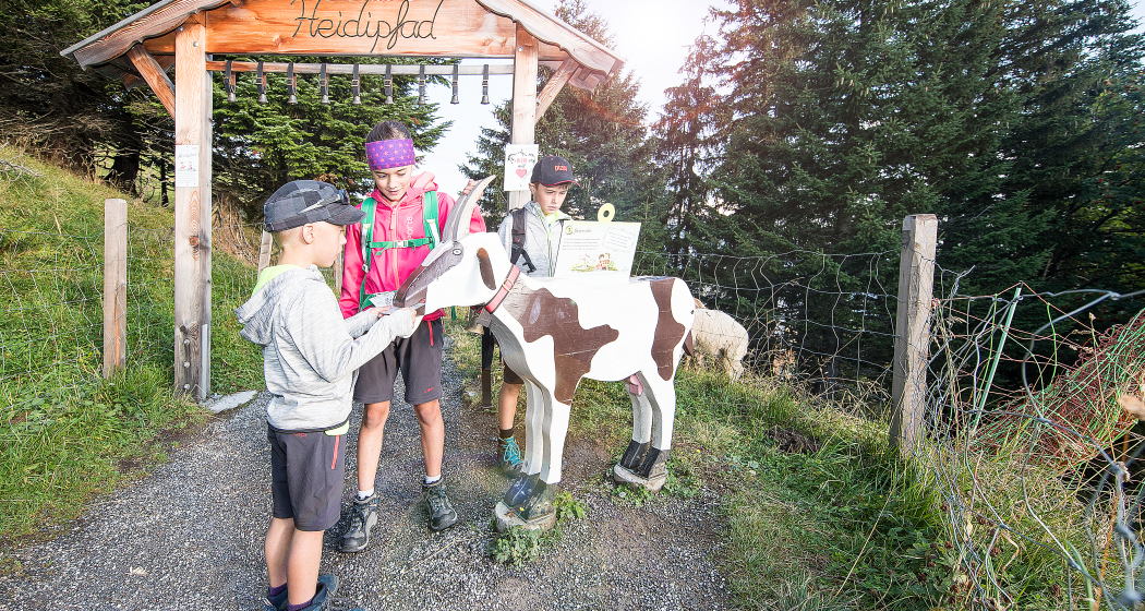 Geissen auf dem Heidipfad Geissen auf dem Heidipfad